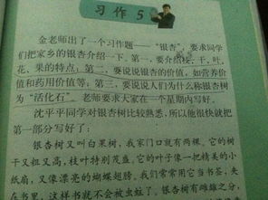 校園里的香樟樹作文300字,校園里的香樟樹作文三年級(jí)300字,寫校園的香樟樹的作文400字