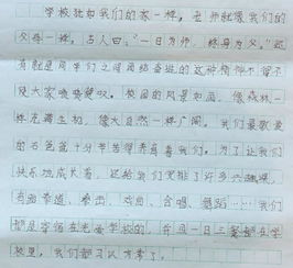 愛(ài)一中愛(ài)校園作文