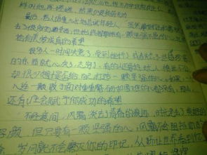 25世紀的校園科幻作文1000字