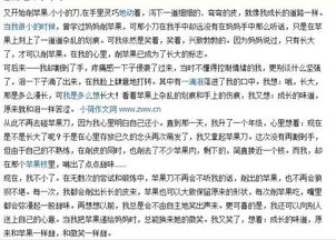校園以滋味為題的作文600字作文