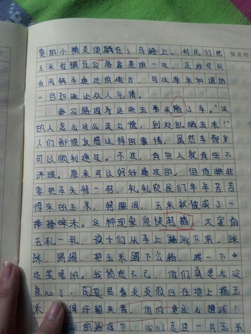 作文,四中,經(jīng)歷,校園