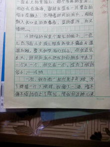 校園友誼題目的作文