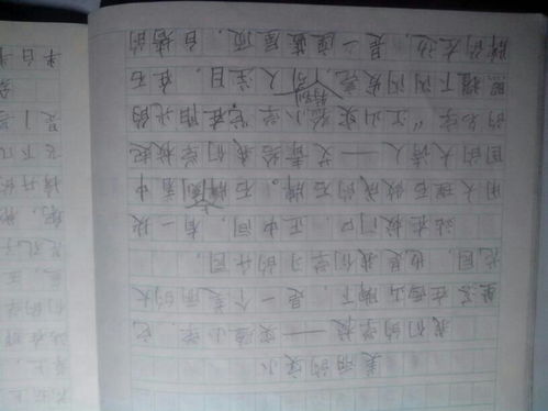 我的校園移步換景作文400字,移步換景描寫(xiě)校園作文600字,移步換景的寫(xiě)景作文400字我的校園