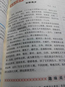 作文,校園里,活動(dòng)