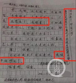 關于校園霸凌的作文1000字