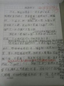 校園的晨跑三級作文六百字
