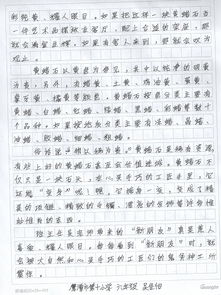作文,校園里,活動(dòng),大全