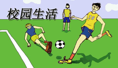 對校園生活美好期待的作文
