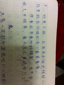 我喜歡的節日作文200字左右,難忘的節日作文200字,春節節日作文200字