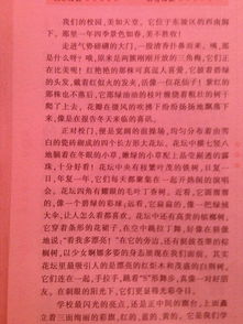 校園里的運動(dòng)員新聞作文