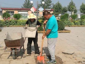 作文,校園