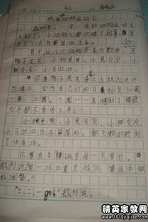 作文,四級,運(yùn)動(dòng)會(huì),校園