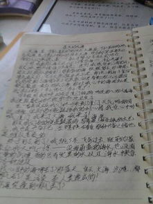 五小的校園景處400字作文