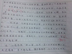 自編校園小說(shuō)作文500字六年級,自編校園小說(shuō)作文800字,自編校園小說(shuō)作文400字