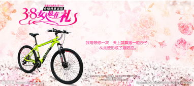 自行車(chē)校園廣告作文400字