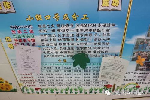 我的新校園作文400字四年級(jí),我們的新校園作文400字,走進(jìn)新校園作文400字(剛升初一)