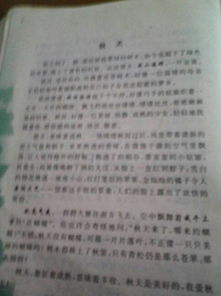 描寫校園秋天的作文600字初中,寫校園秋天景色的作文600字初中,關于校園里的秋天的作文600字作文