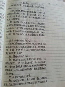 我的校園小故事作文600字初中