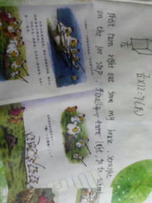 描寫(xiě)校園的作文不必怎么但是