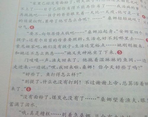 作文500字我的校園動(dòng)靜結合