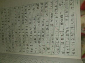難忘的校園燒烤作文400個(gè)字