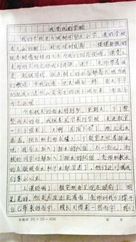 我們的中心小學(xué)校園作文
