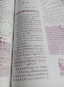 校園里的甜作文600字,校園的春夏秋冬作文500字,校園的春夏秋冬作文200字