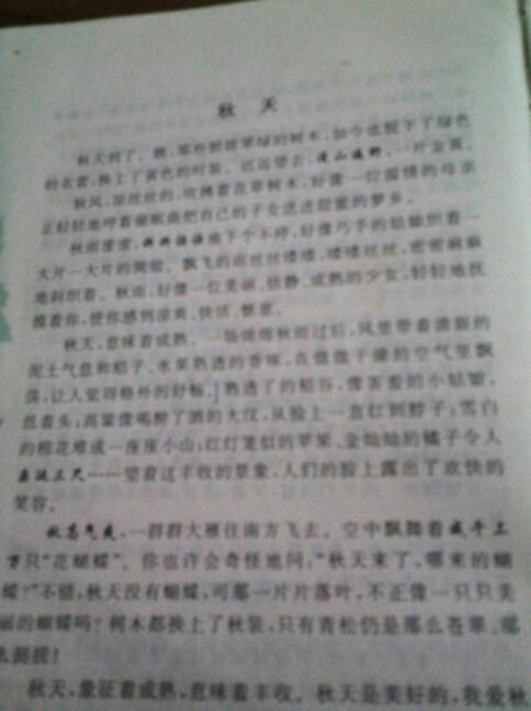 銀杏樹(shù),作文,校園里