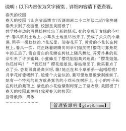 我的新校園二級作文