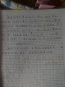 秋天的校園作文3oo字