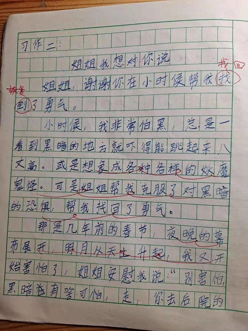 校園我想對你說400字四級作文