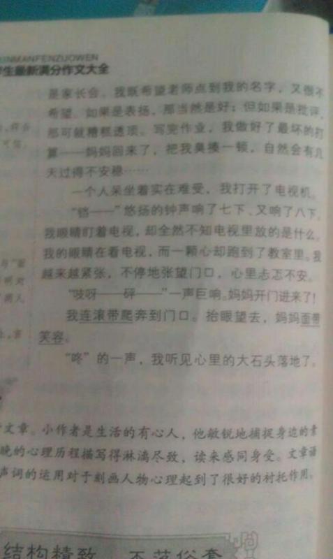 誠(chéng)信校園伴我行作文600字作文