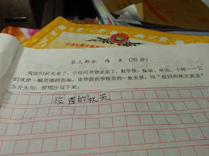 三級作文秋天的校園多像一幅畫(huà)