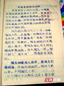 我的校園作文250字四級作文大全