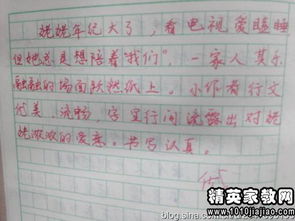 作文,四級,評語(yǔ),集錦