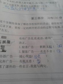 一次校園活動(dòng)作文六百字