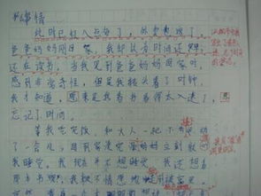 作文,四級,趣事,校園