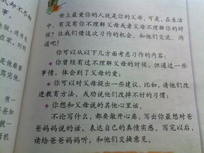 寫(xiě)校園早晨美景的作文450字