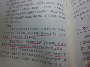走進(jìn)大學(xué)校園的感受作文800字
