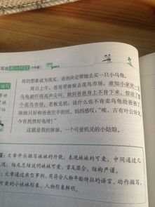 作文校園的事作文300字作文三級