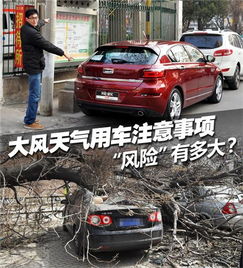 大風(fēng)天氣停車(chē)注意事項(xiàng)