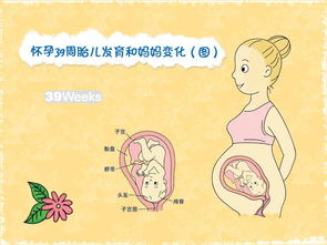 懷孕29周后注意事項(xiàng)