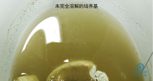 培養(yǎng)基滅菌要注意事項