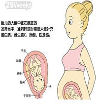 懷孕29周飲食注意事項(xiàng),懷孕12周后注意事項(xiàng),懷孕37周后注意事項(xiàng)