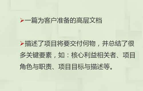 章程,注意事項(xiàng),制定,項(xiàng)目