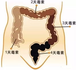 細(xì)胞矯正期間注意事項(xiàng)