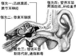神經(jīng)性耳鳴注意事項(xiàng),耳鳴注意事項(xiàng)和飲食,神經(jīng)性耳鳴飲食注意事項(xiàng)