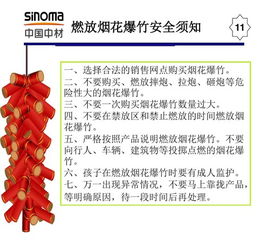 春節期間安全生產(chǎn)注意事項,春節期間防疫注意事項,春節期間工作安排及注意事項
