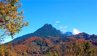爬泰山注意事項(xiàng),五指山養(yǎng)殖方法和注意事項(xiàng),爬華山注意事項(xiàng)