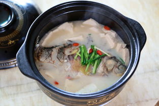 鯽魚豆腐湯的注意事項,解剖鯽魚的注意事項,冬季釣鯽魚注意事項